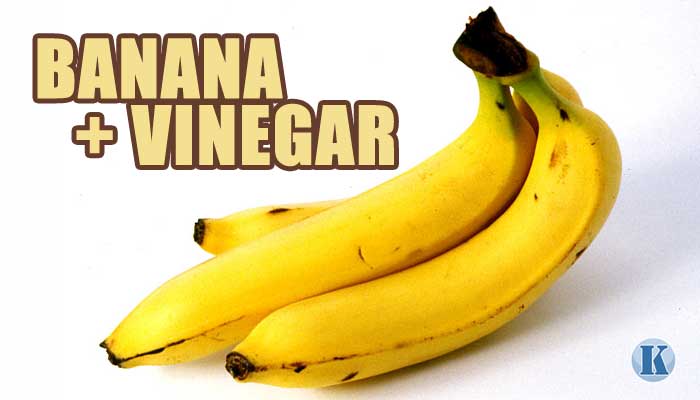 バナナの画像
